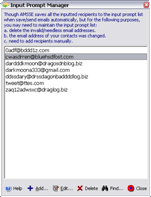 Input Prompt Manager